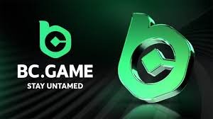 Understanding the BC.Game Privacy Policy 1